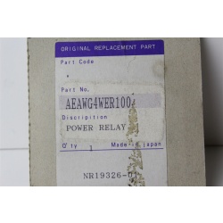 OEM PANASONIC AEAWG4WER100 POWER RELAY NR19326-01