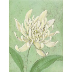 (30 x 40) Art Print YN0930 YUNA - FanFare