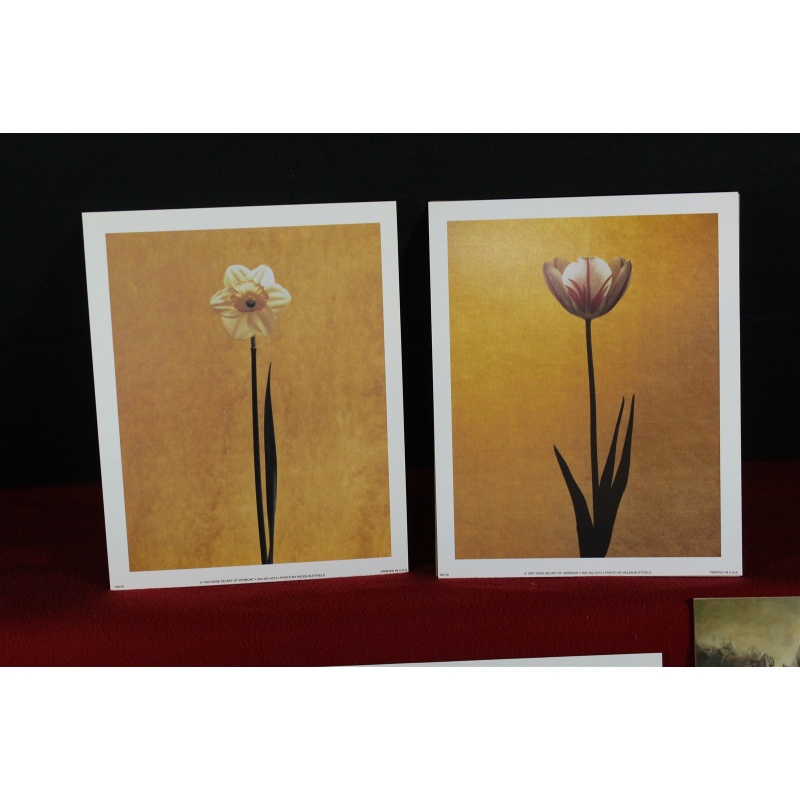 Lot of 600 ART Prints 8" x 10" Lot #7298