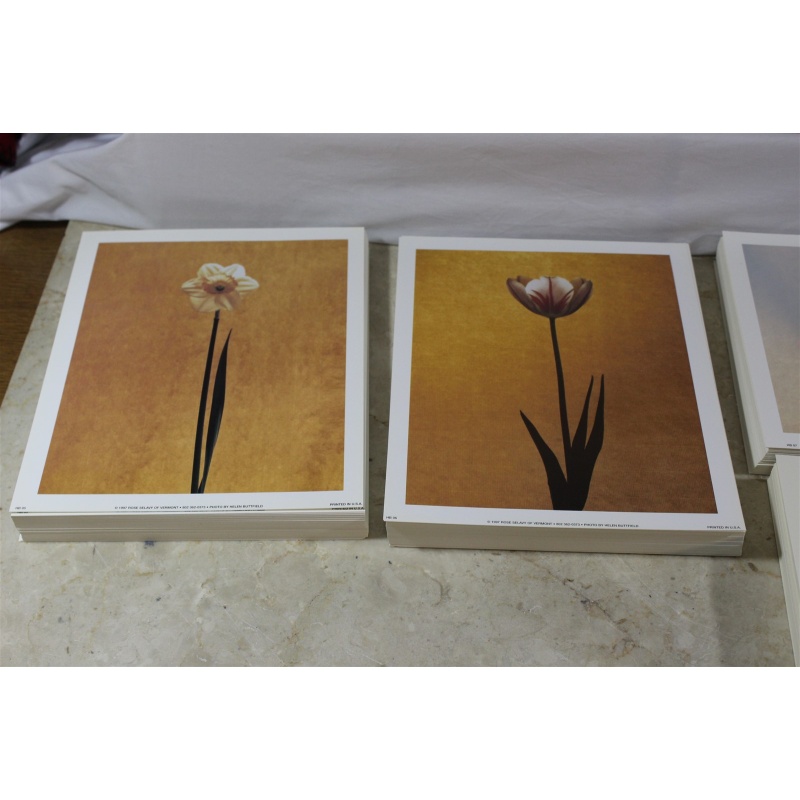 Lot of 600 ART Prints 8" x 10" Lot #7298