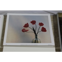 Lot of 600 ART Prints 8" x 10" Lot #7298