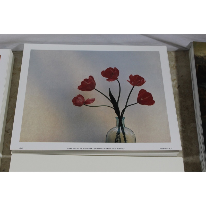 Lot of 600 ART Prints 8" x 10" Lot #7298