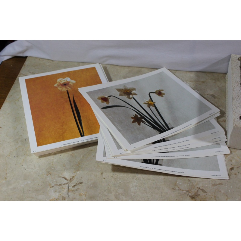 Lot of 600 ART Prints 8" x 10" Lot #7301
