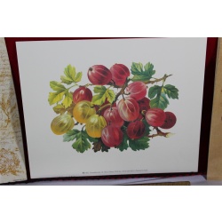 Lot of 600 ART Prints 8" x 10" Lot #7303