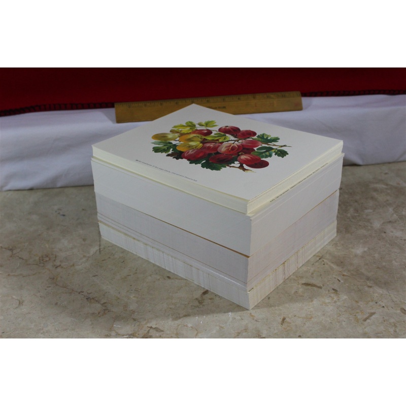 Lot of 600 ART Prints 8" x 10" Lot #7303