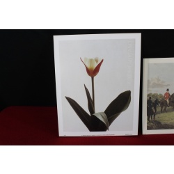 Lot of 600 ART Prints 8" x 10" Lot #7309