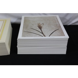 Lot of 600 ART Prints 8" x 10" Lot #7321