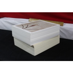 Lot of 600 ART Prints 8" x 10" Lot #7321