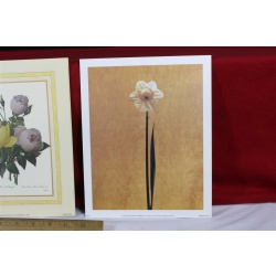 Lot of 600 ART Prints 8" x 10" Lot #7327