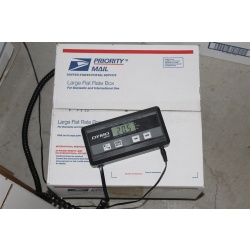 Lot of 2000 ART Prints Various Sizes Lot #7357