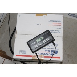 Lot of 2000 ART Prints Various Sizes Lot #7359