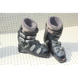 Pair - Alpine Ski Books - Salomon Evolution -