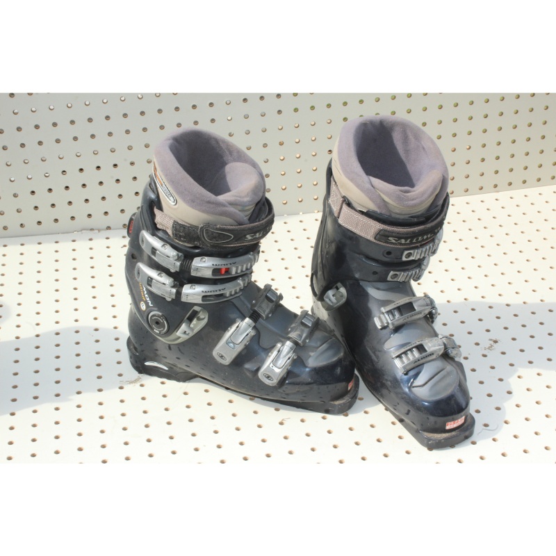 Pair - Alpine Ski Books - Salomon Evolution -