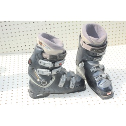 Pair - Alpine Ski Books - Salomon Evolution -