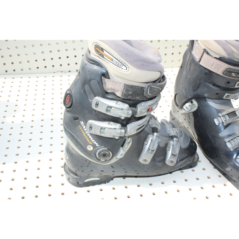 Pair - Alpine Ski Books - Salomon Evolution -