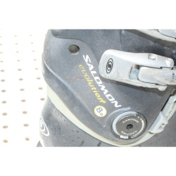 Pair - Alpine Ski Books - Salomon Evolution -