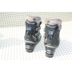 Pair - Alpine Ski Books - Salomon Evolution -