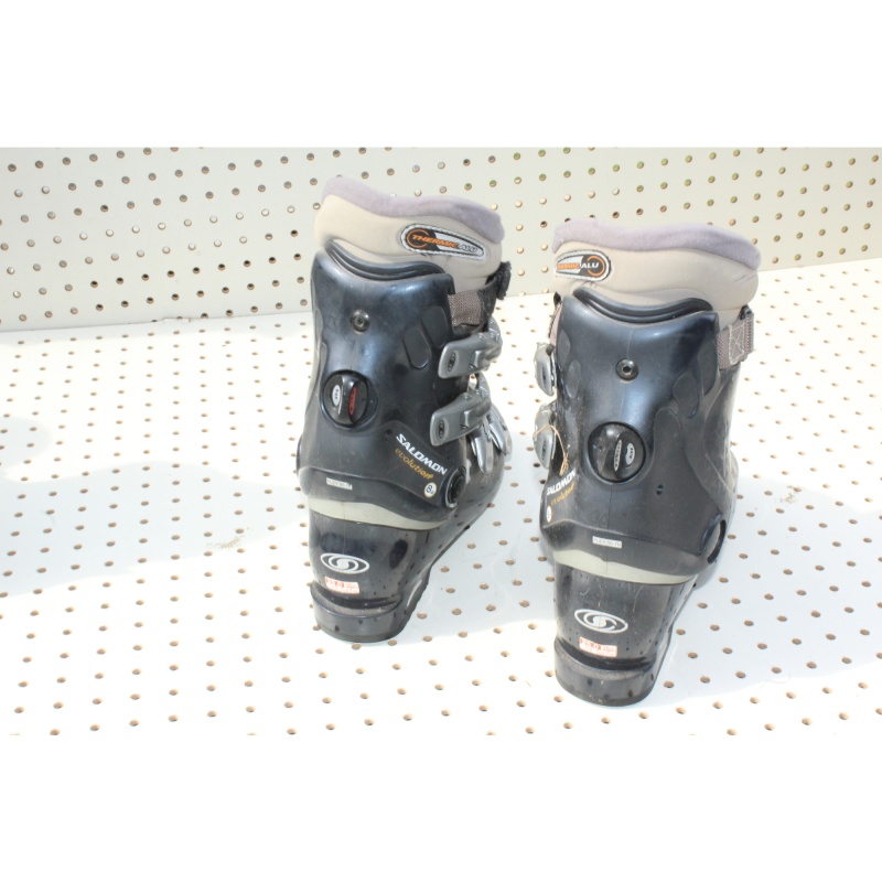 Pair - Alpine Ski Books - Salomon Evolution -