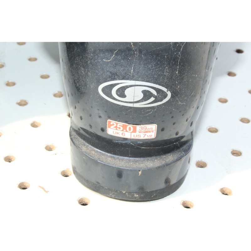 Pair - Alpine Ski Books - Salomon Evolution -