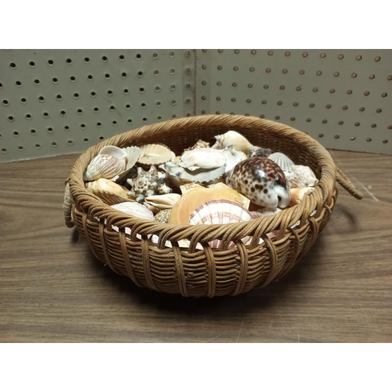 Authentic Sea Shells In a Basket 