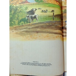 Lassie and Her Day in the Sun by Charles Verral [A Little Golden Book · 1972]