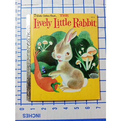 Vintage THE LIVELY LITTLE RABBIT HARDCOVER BOOK Little Golden Book