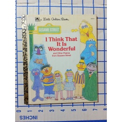 Sesame Street I Think That It Is Wonderful Hardcover Little Golden Book