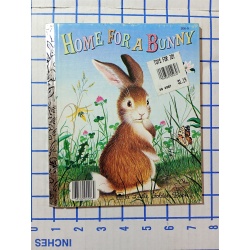 Little Golden Book - Home For A Bunny 