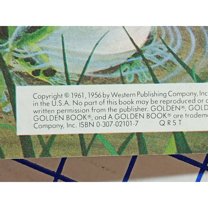 Little Golden Book - Home For A Bunny 