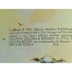 My Little Golden Book About God