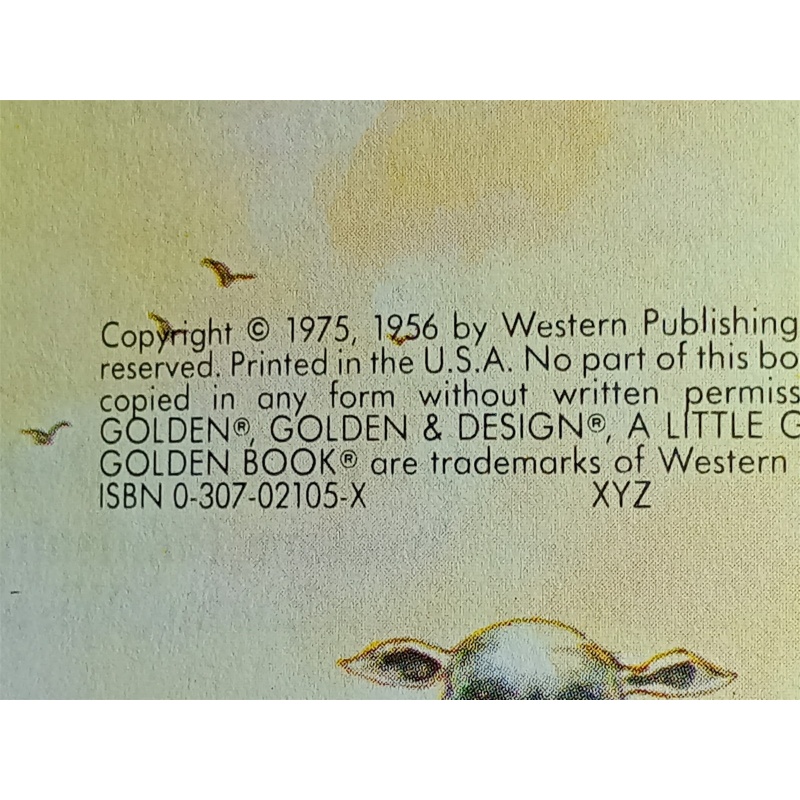 My Little Golden Book About God