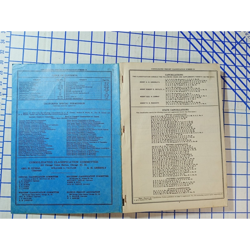 CONSOLIDATED FRIGHT CLASSIIFICATION NO. 19