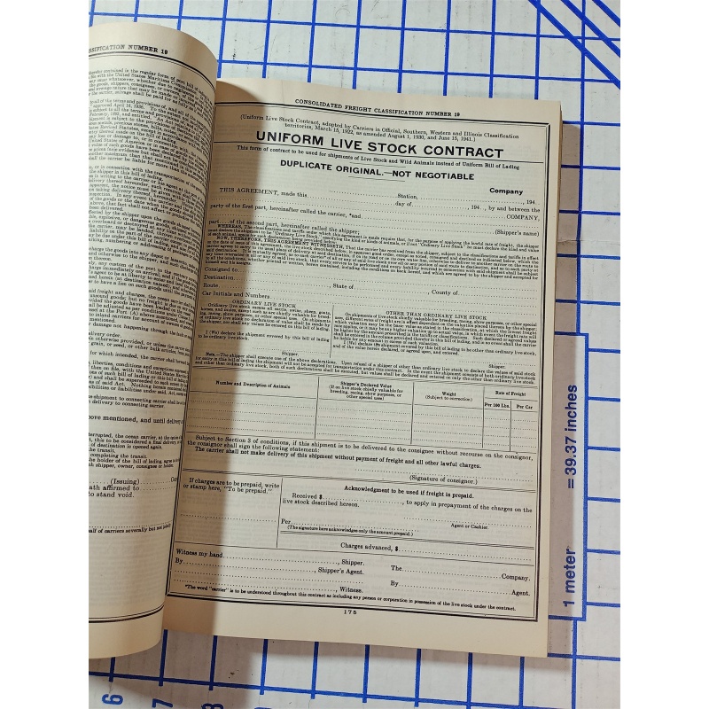 CONSOLIDATED FRIGHT CLASSIIFICATION NO. 19