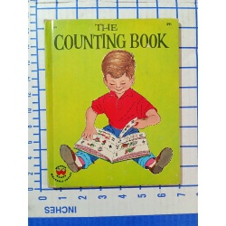 childrens book THE COUNTING BOOK Wonder Books
