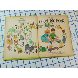 childrens book THE COUNTING BOOK Wonder Books