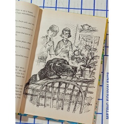 Mishmash and the Venus flytrap - Hardcover, by Cone Molly