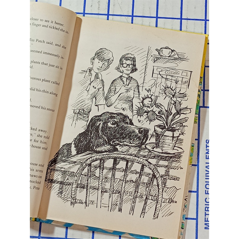 Mishmash and the Venus flytrap - Hardcover, by Cone Molly