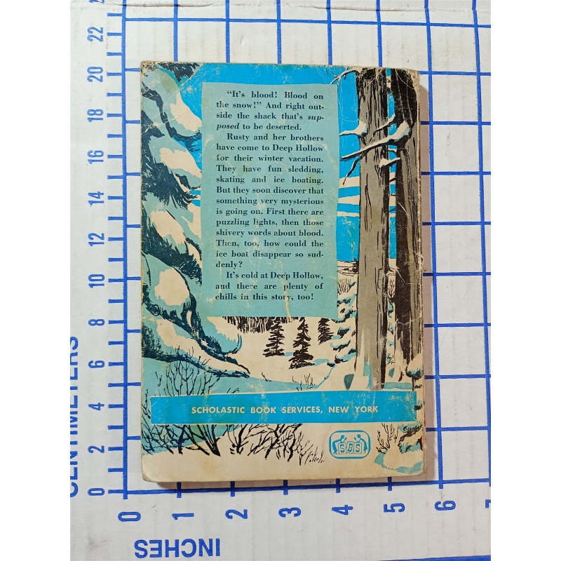 Mystery of the Haunted Hut by Mary Graham Bonner 