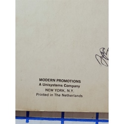 The Pied Piper of Hamelin