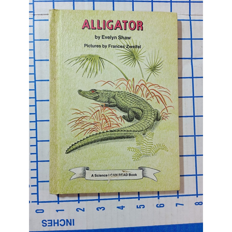Alligator by Evelyn Shaw Vintage 