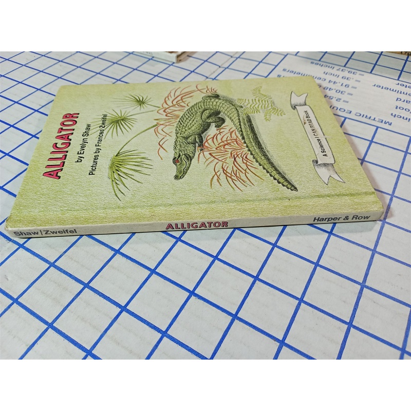 Alligator by Evelyn Shaw Vintage 