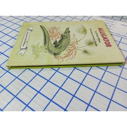 Alligator by Evelyn Shaw Vintage 