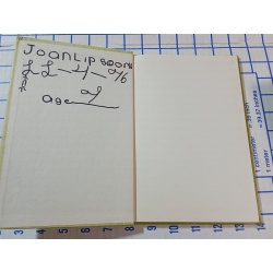 Alligator by Evelyn Shaw Vintage 