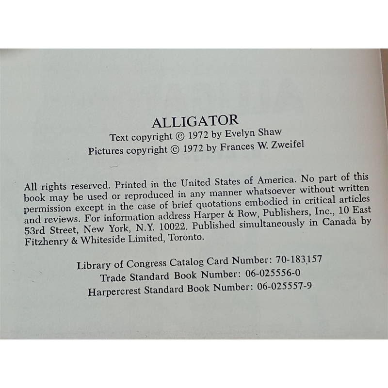 Alligator by Evelyn Shaw Vintage 