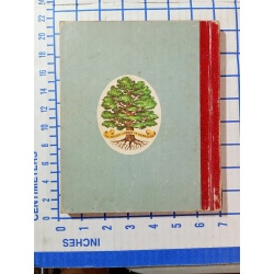 FAMOUS AMERICAN SHIPS The Golden Library of Knowledge