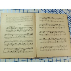 Peter Tschaikowsky At Home Piano Solo Volume II D. Appleton And Company 1928