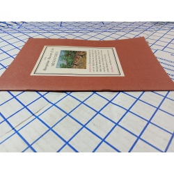 THE METROPOLITAN MUSEUM OF ART MINIATURES Album O