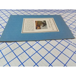 THE METROPOLITAN MUSEUM OF ART MINIATURES Album W