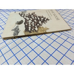 Bear Mouse by Berniece Freschet (Hardcover)