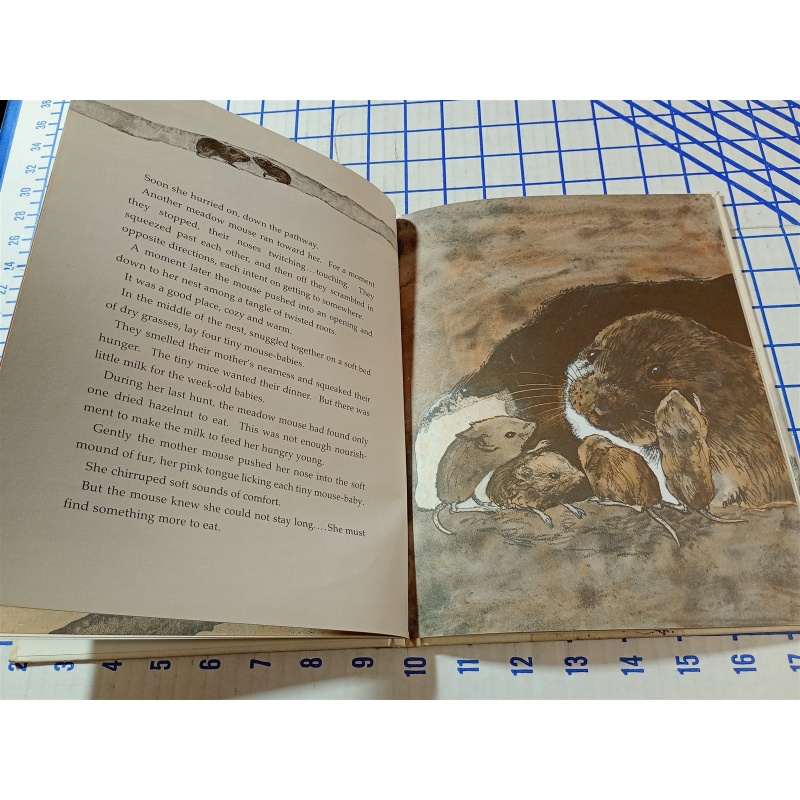 Bear Mouse by Berniece Freschet (Hardcover)